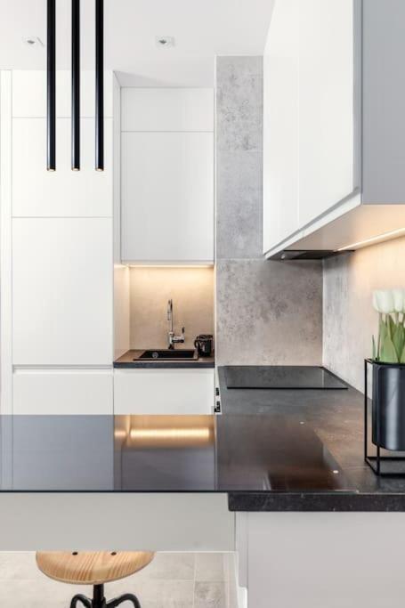 Deluxe Apartment In City Center, Steam Park 克拉科夫 外观 照片